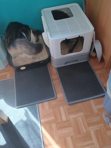 Customer photo review of Naturreines Katzenstreu