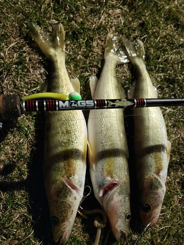 Customer photo review of Custom Spinning Rod