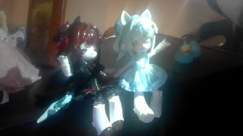 Customer photo review of Antu Spirit of the Book Series Winter Limited Figure