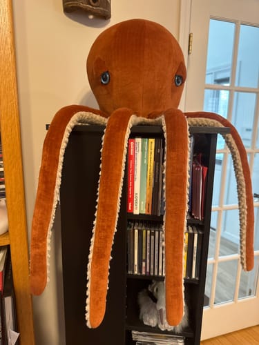 Customer photo review of The Octopus