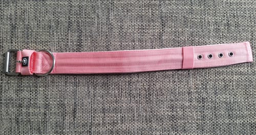 Elisabeth K. review of 5cm Pin Buckle Collar | NO Handle - Pink image 1 out of 1