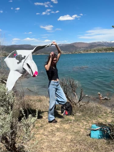 Customer photo review of Aelfric Eden Oversized Graffiti Dog Graphic Hoodie