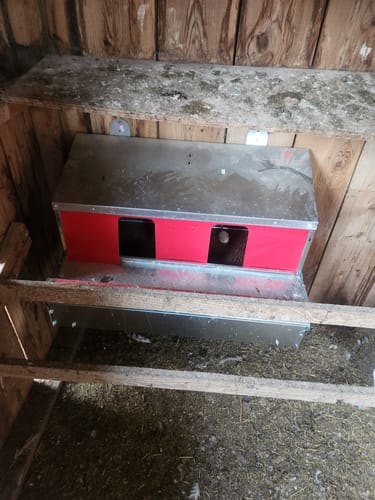 Customer photo review of Medium (34") Reversible Rollout Nest Box (Up to 32 Hens)