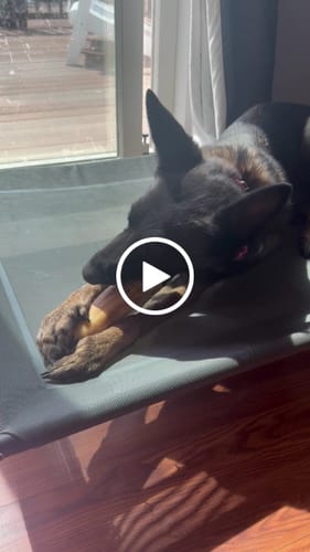 Customer video review of Smoked Beef Marrow Bone