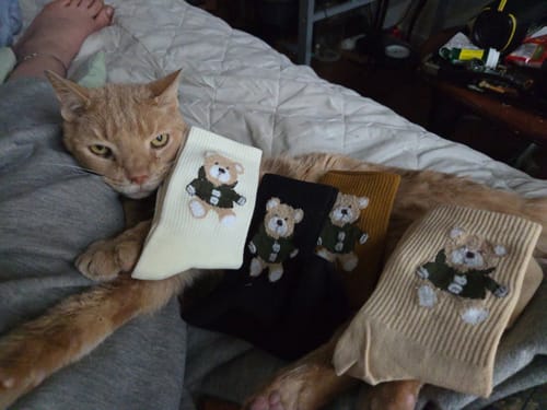 Customer photo review of Embroidered Bear Socks Pack