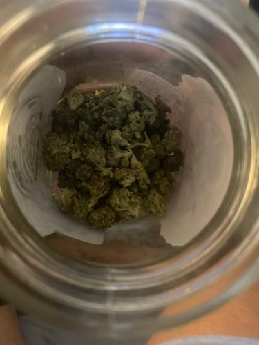 Customer photo review of Skywalker OG - Greenhouse THCA (Smalls)