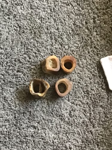 Customer photo review of Small Dog Black Friday Bundle (Your 12oz Jerky+8 Small Bones)