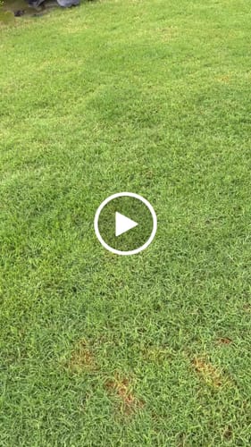 Customer video review of Retractable Garden Hose Reel-5/8 in-65ft