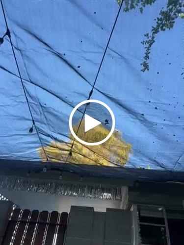 Customer video review of Black Mesh Tarp - 70% Shade