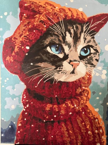 Customer photo review of Stylish Cat: Paint By Numbers Kit
