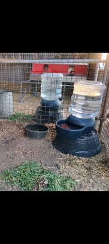 Customer photo review of Large (48") - Reversible Rollout Nest Box (Up to 50 Hens)