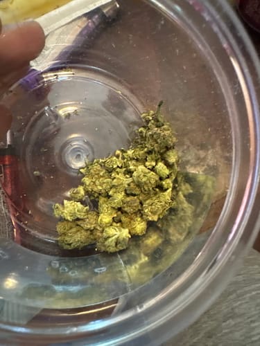 Customer photo review of Super Lemon Haze THCA Flower