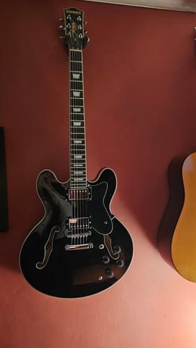 Customer photo review of Donner DJP-1000 39 inch JAZZ LP Electric Guitar