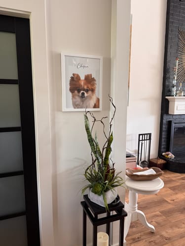 Customer photo review of Pet Portrait. Custom Pet Portrait, Pet Memorial, Pet Gift, New Pet Gift, Watercolor Pet Portrait, Digitally Mastered Digital effect (Size/Frame Color: 12"x16"/White, Number of Pets: One Pet, Personalization: Halo, Blush, Scripted: Chiska)