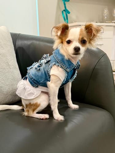 Customer photo review of Denim Bow Vest