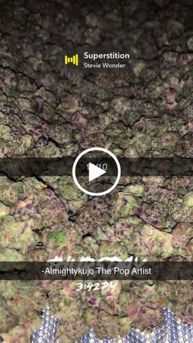 Customer video review of Bulk Indoor THCA Smalls