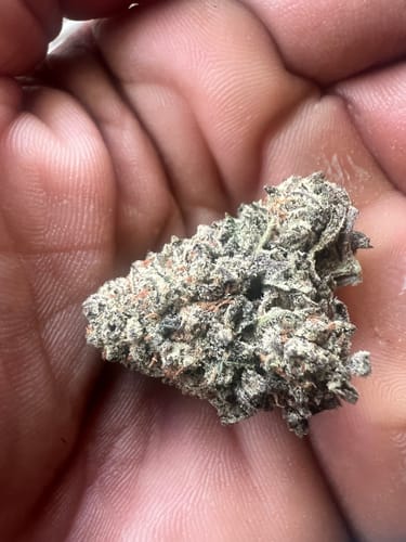 Customer photo review of Dante's Wrath Indoor THCA