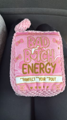Customer photo review of P.Louise Bad B*tch Dog Toy
