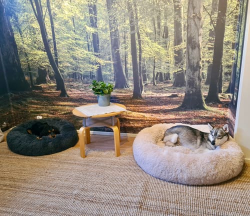 Customer photo review of CalmBed - Motverkar stress & hjälper mot ångest