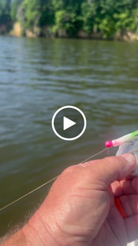 Customer video review of White Lightning