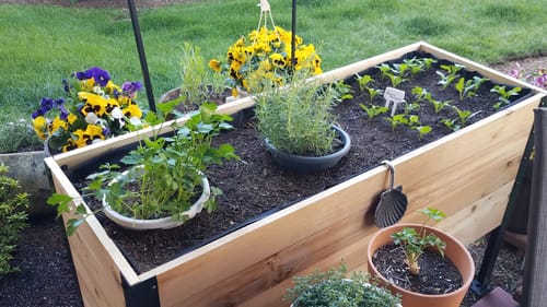 Customer photo review of 18" x 48" Raised Garden Bed - 30" TALL