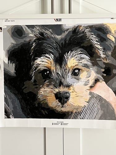 Customer photo review of CUSTOM PAINT BY NUMBER KIT