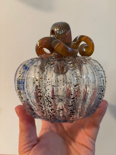 Customer photo review of Daily Pumpkin 2240 Squat