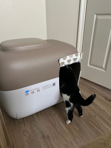 Customer photo review of Self-Cleaning Litter Box