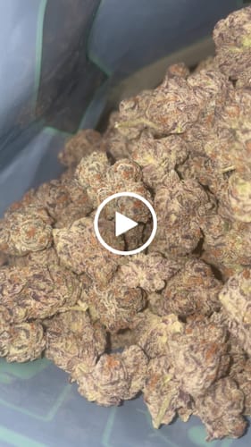Customer video review of Tangerine Dreams Light Assist THCA