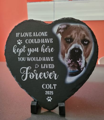 Customer photo review of Personalized Pet Memorial Stone