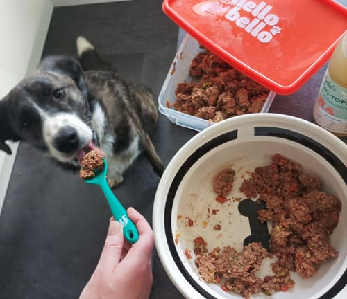 Customer photo review of Frischfutter für Energiebedarf von 1201 kCal/Tag