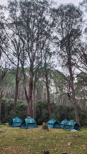 Customer photo review of 3 Secs Tent