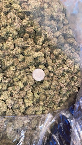 Customer photo review of Shipping Protection by Route