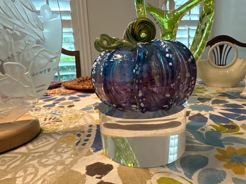 Customer photo review of Under the Sea Squat Pumpkin - Limited Run