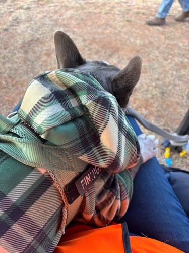 Customer photo review of Green Plaid Dog Hoodie