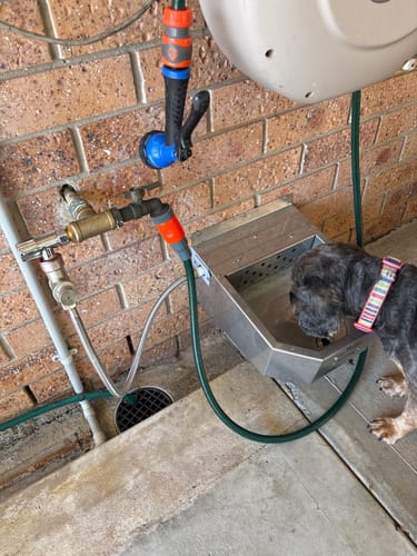 Customer photo review of Pet Rehydration Station
