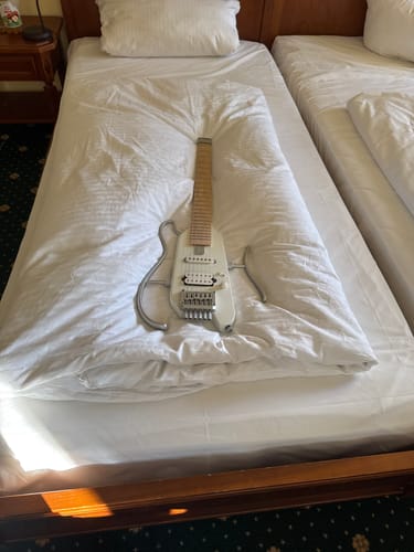 Customer photo review of Donner HUSH-X E-Gitarre Traveler Gitarre Ultra-Light für Unterwegs