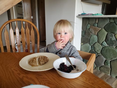 Customer photo review of Protein Waffles At Home (5x 8-packs)