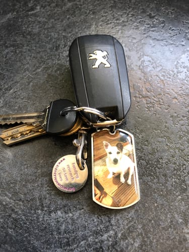 Customer photo review of Personalized Pet Keychain