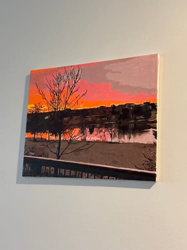 Customer photo review of Paint by Numbers - paint your very own photo