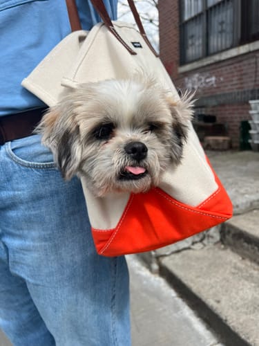 Customer photo review of Carpenter Bag Carrier - Various Colors