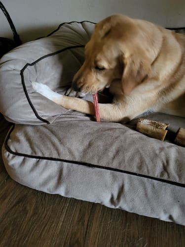 Customer photo review of Beef Gullet Jerky Strips