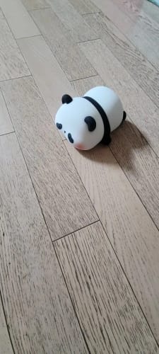 Customer photo review of Panda LED USB Rechargeable Silicone Night Lights