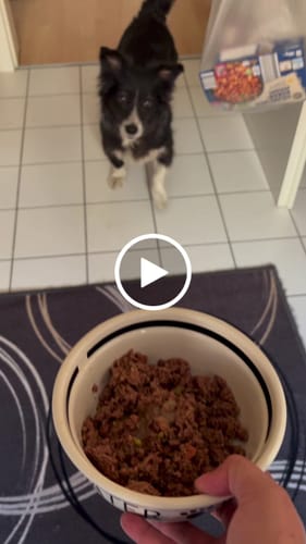 Customer video review of Frischfutter für Energiebedarf von 476 kCal/Tag