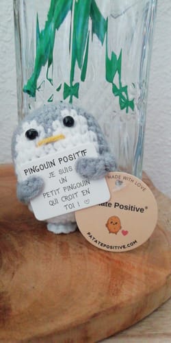 Customer photo review of PINGOUIN POSITIF