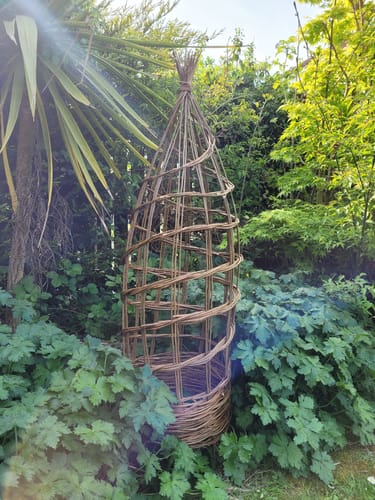 Customer photo review of The Willow Plant Support - Online Course and Kit