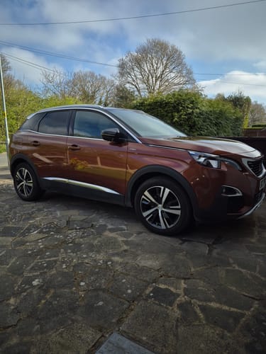 Customer photo review of V2 Free Spray Bundle