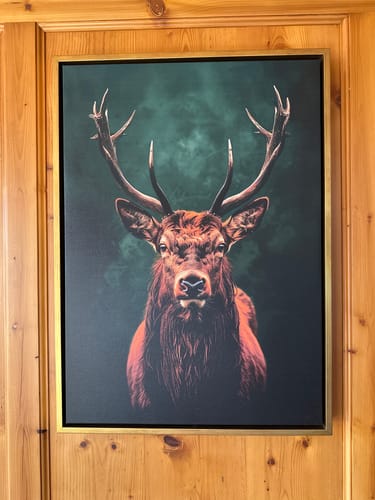 Customer photo review of Highlands Set of 2 Prints