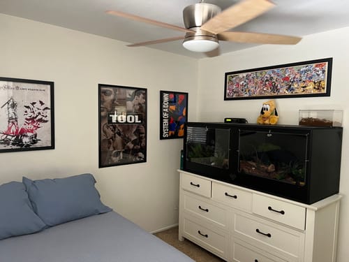 Customer photo review of XT5 (60Lx24Dx24H) - STACKABLE