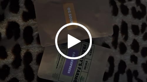 Customer video review of Cali Express (Premium) - <15% CBD - 1# Cup Winner